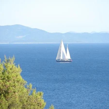 Fio - Hvar *