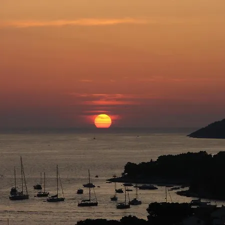 Fio - Hvar