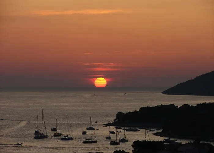 Fio - Hvar