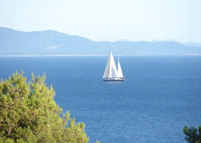 Fio - Hvar *